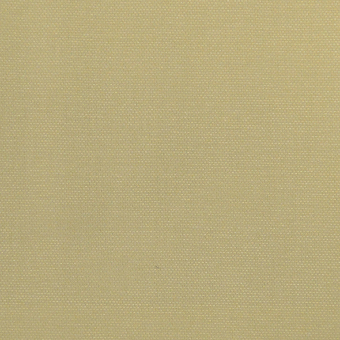 Eade’s SOUTH BEACH BONE BONE