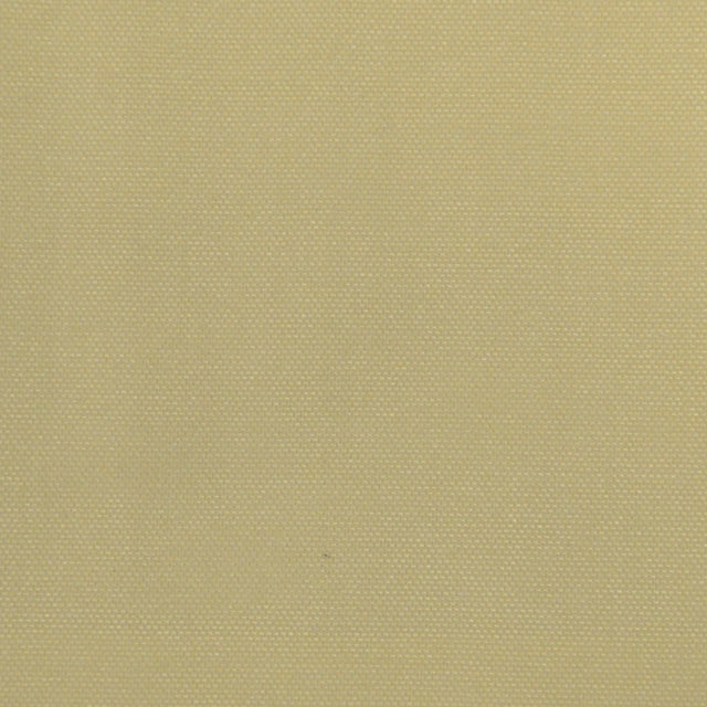 Eade’s SOUTH BEACH BONE BONE