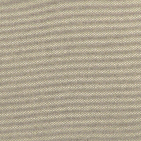 Eade’s SOUTH BEACH CHROME CHROME