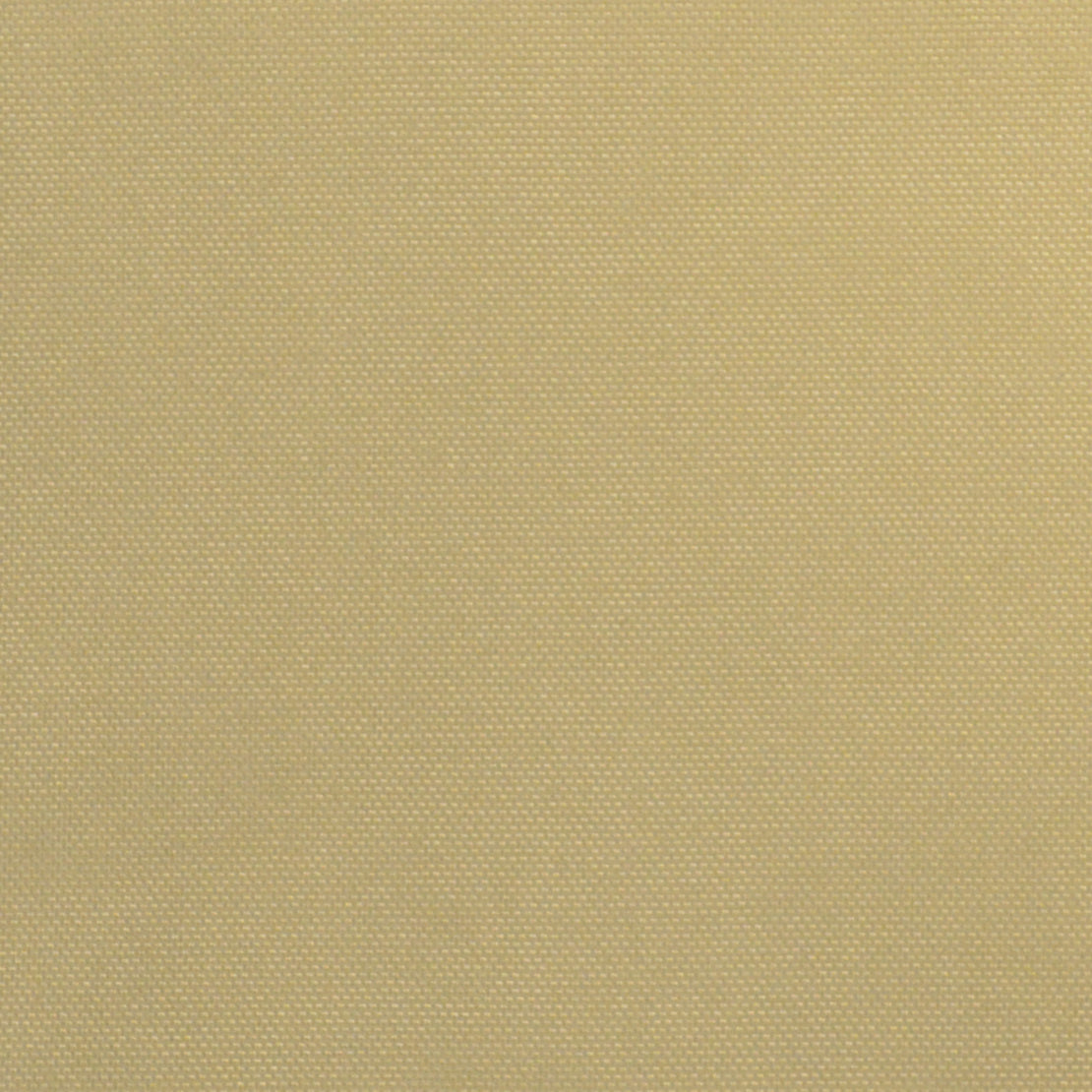 Eade’s SOUTH BEACH LATTE LATTE