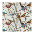 KRAVET COUTURE SPARROWS2.916.0 KRAVET COUTURE SPARROWS2-916 Fabric - Eade's Wallpaper