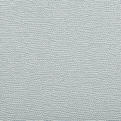KRAVET CONTRACT SPARTAN.15.0 SPARTAN ICEBERG Fabric - Eade's Wallpaper