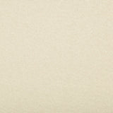 KRAVET CONTRACT SPARTAN.1611.0 SPARTAN PEARL Fabric - Eade's Wallpaper