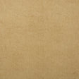 KRAVET DESIGN SPARTA.1.0 KRAVET DESIGN SPARTA-1 Fabric - Eade's Wallpaper
