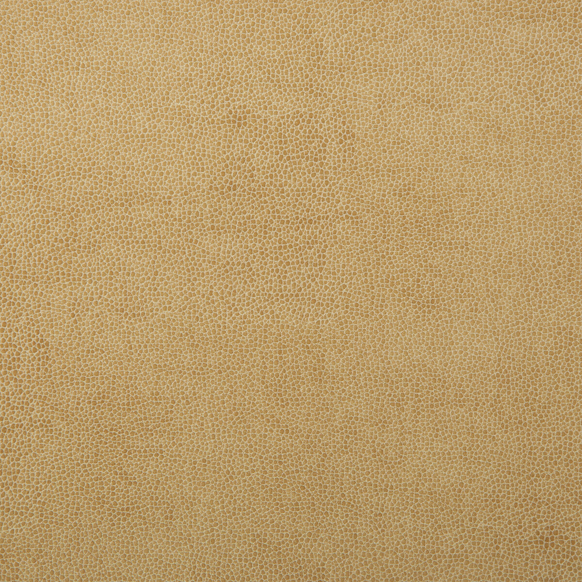 KRAVET DESIGN SPARTA.1.0 KRAVET DESIGN SPARTA-1 Fabric - Eade's Wallpaper