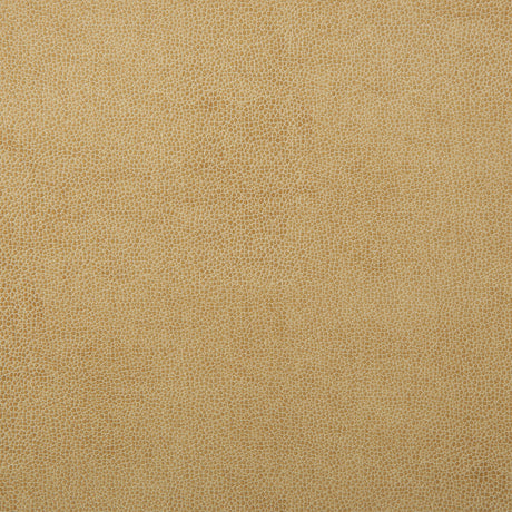 KRAVET DESIGN SPARTA.1.0 KRAVET DESIGN SPARTA-1 Fabric - Eade's Wallpaper