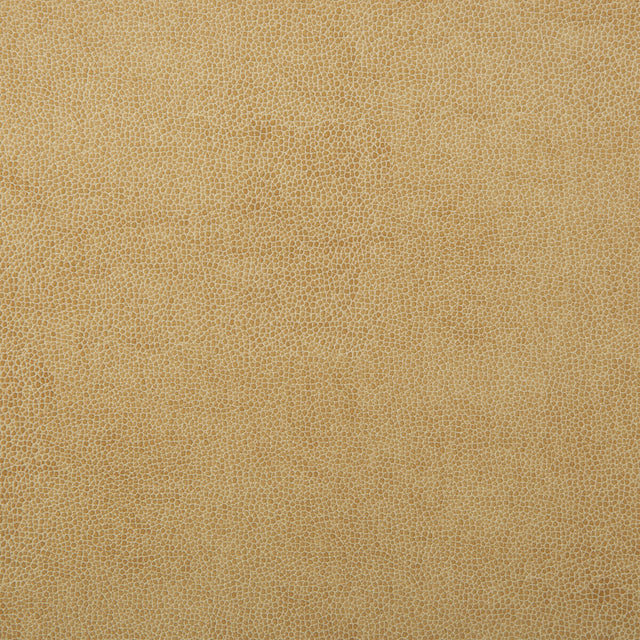 KRAVET DESIGN SPARTA.1.0 KRAVET DESIGN SPARTA-1 Fabric - Eade's Wallpaper