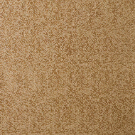 KRAVET DESIGN SPARTA.16.0 KRAVET DESIGN SPARTA-16 Fabric - Eade's Wallpaper