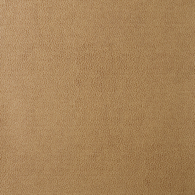 KRAVET DESIGN SPARTA.16.0 KRAVET DESIGN SPARTA-16 Fabric - Eade's Wallpaper