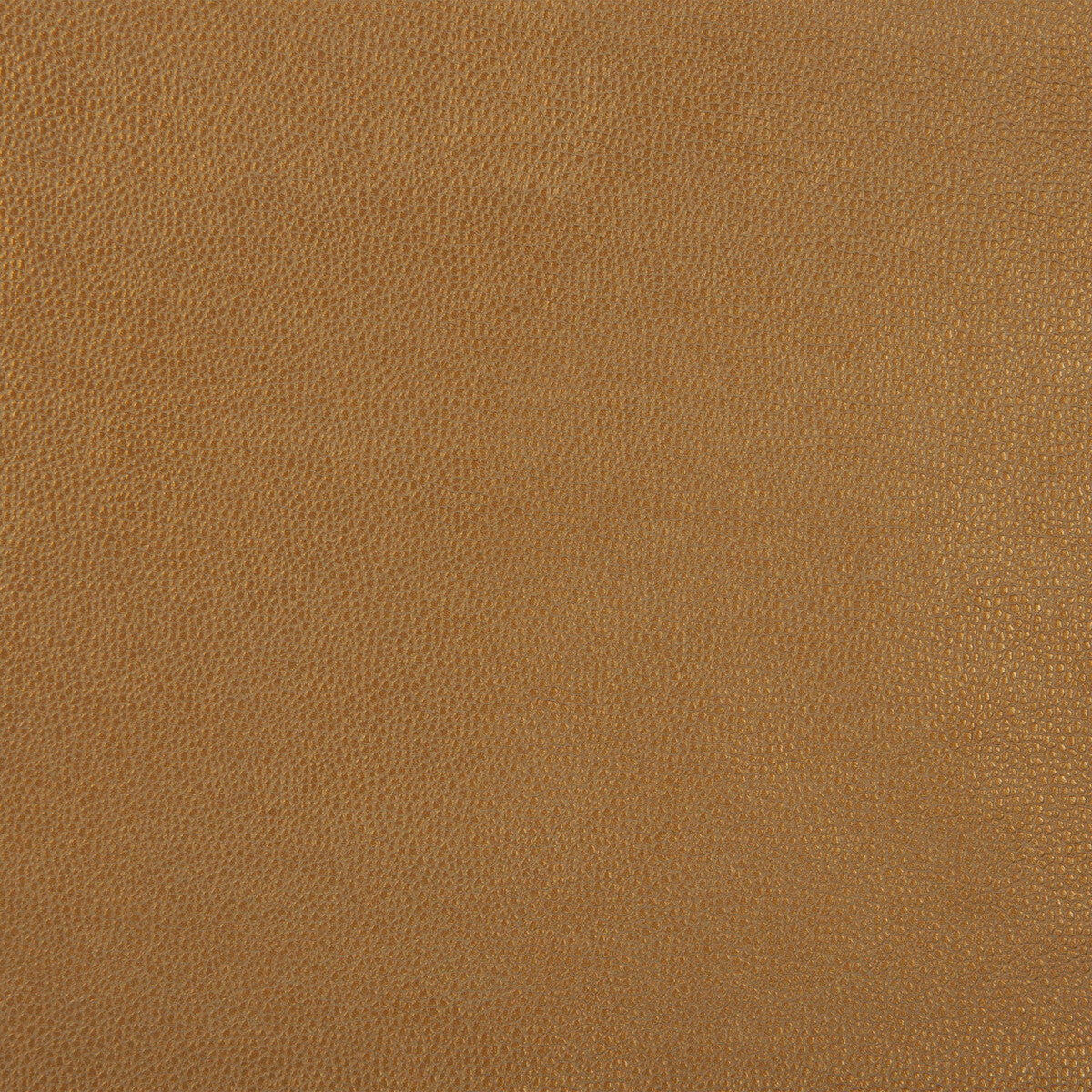 KRAVET DESIGN SPARTA.4.0 KRAVET DESIGN SPARTA-4 Fabric - Eade's Wallpaper