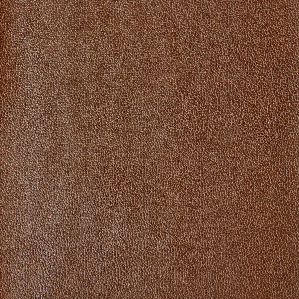 KRAVET DESIGN SPARTA.616.0 KRAVET DESIGN SPARTA-616 Fabric - Eade's Wallpaper