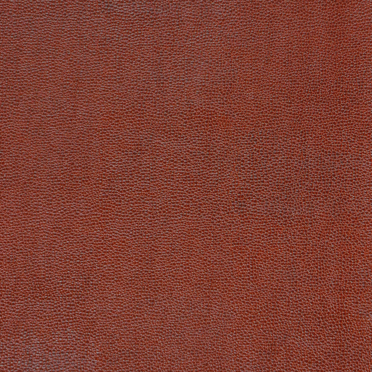 KRAVET DESIGN SPARTA.624.0 KRAVET DESIGN SPARTA-624 Fabric - Eade's Wallpaper