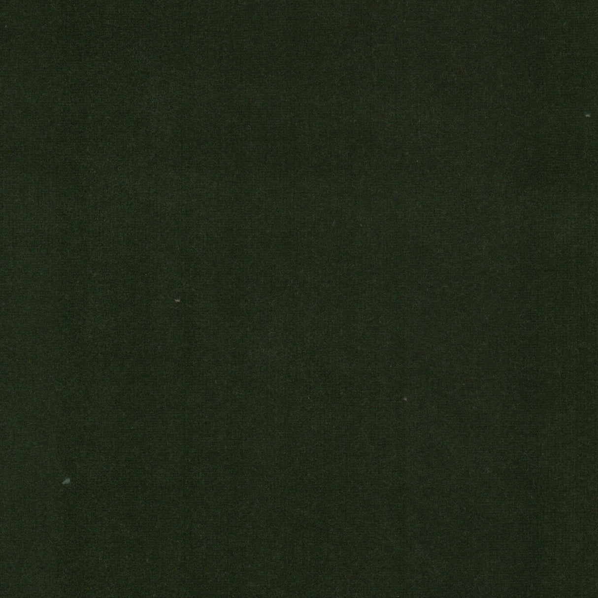 Eade's SPOC-7-sample JUNGLE