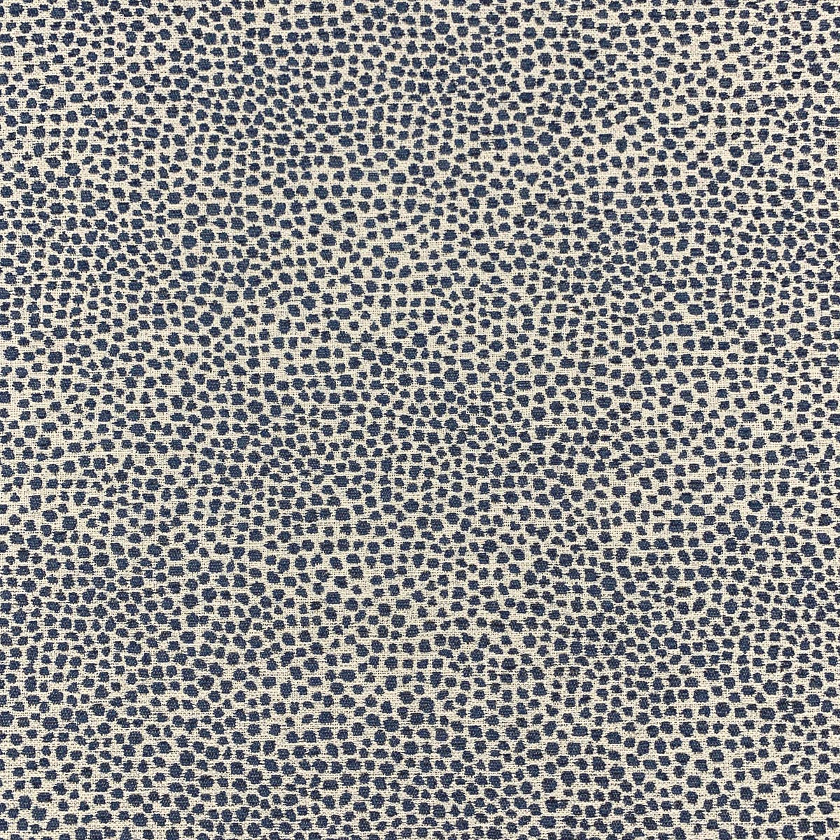 Eade’s SPOT DENIM DENIM