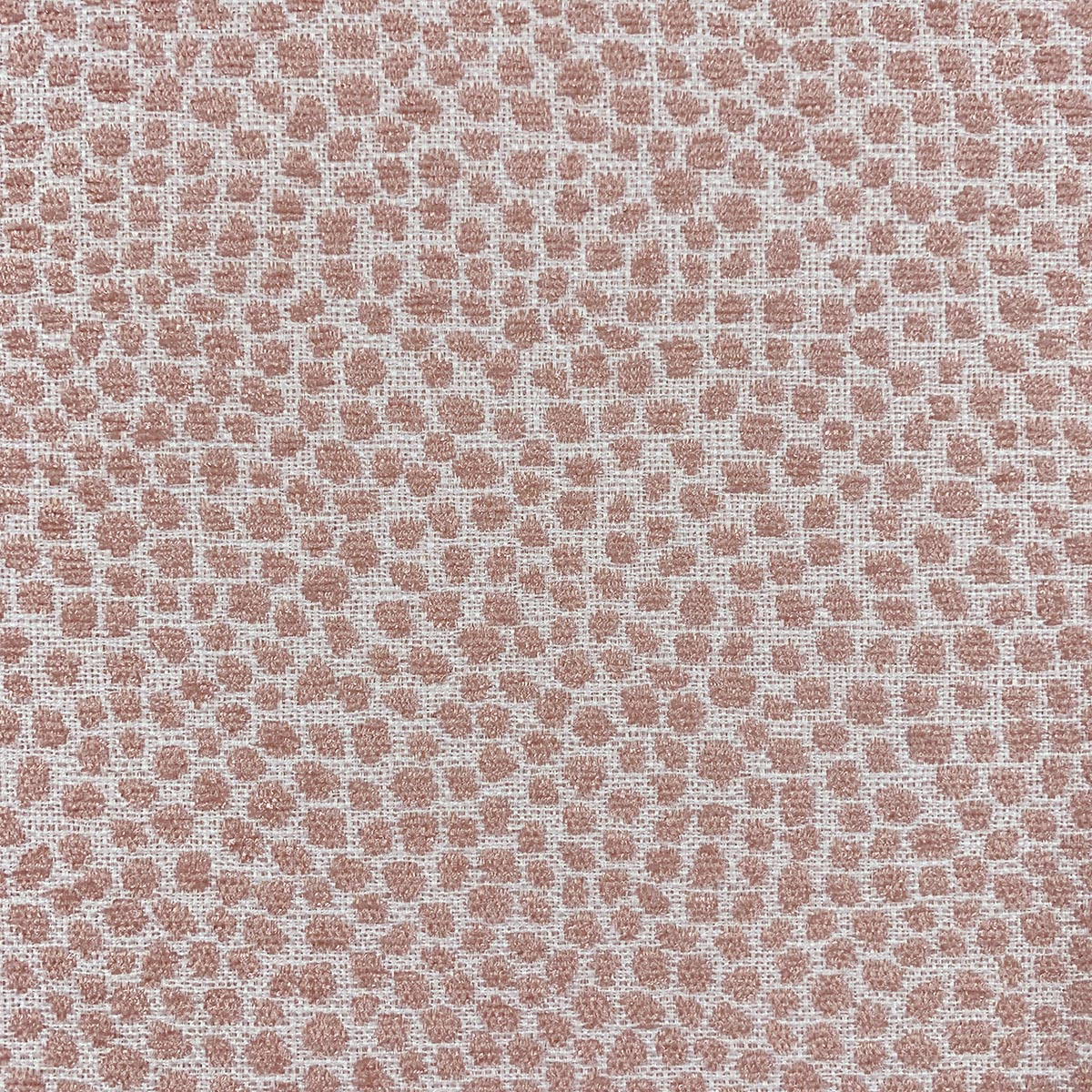 Eade’s SPOT POSEY POSEY