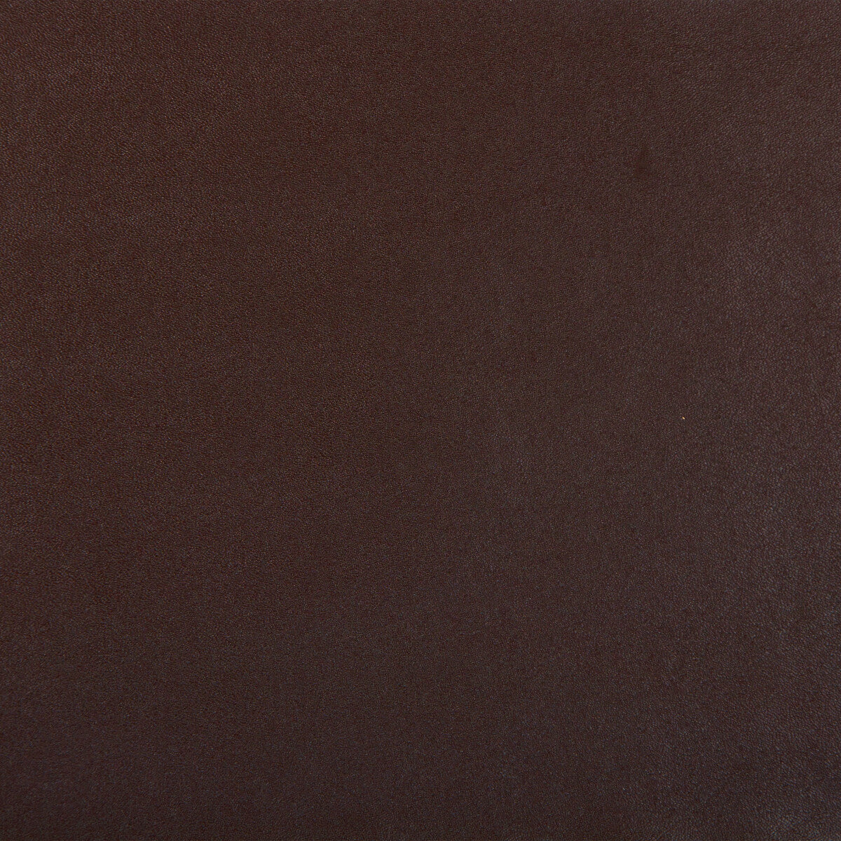 KRAVET DESIGN SPROCKET.66.0 KRAVET DESIGN SPROCKET-66 Fabric - Eade's Wallpaper