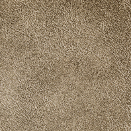 KRAVET CONTRACT SPUR.606.0 SPUR COCOA Fabric - Eade's Wallpaper