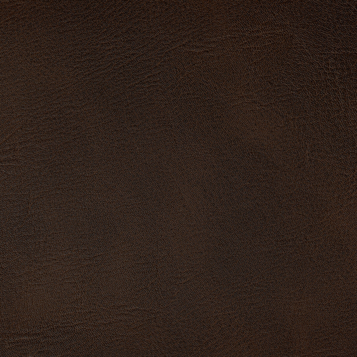 KRAVET CONTRACT SPUR.6161.0 SPUR JAVA Fabric - Eade's Wallpaper