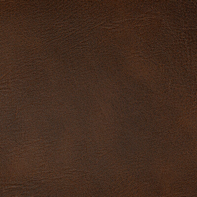 KRAVET CONTRACT SPUR.6.0 SPUR BRONCO Fabric - Eade's Wallpaper