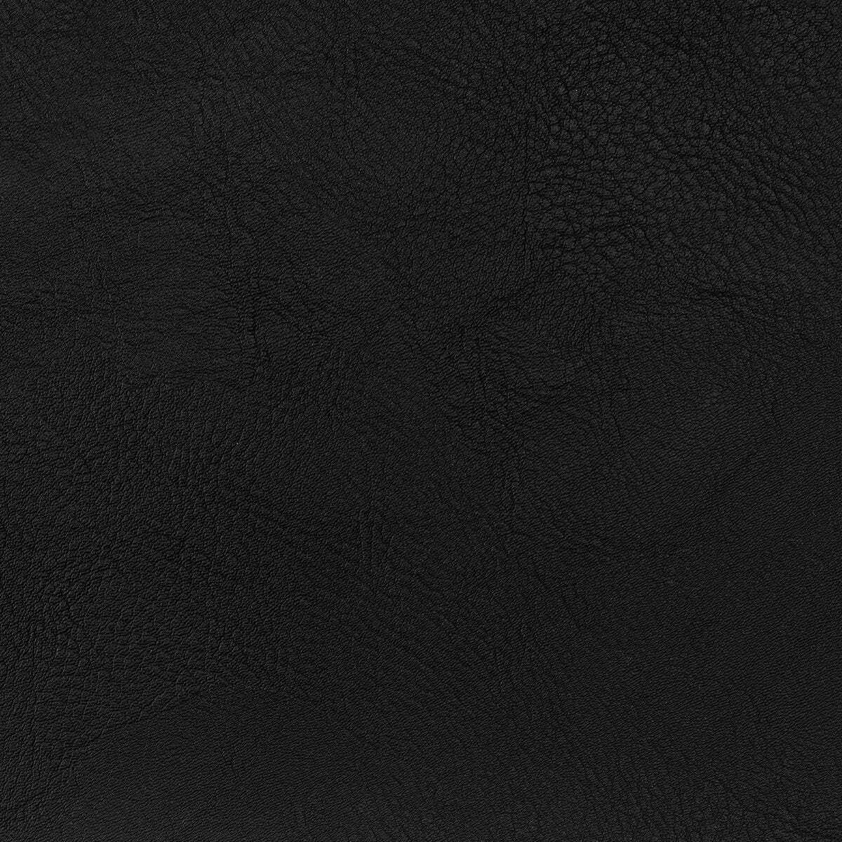 KRAVET CONTRACT SPUR.8.0 SPUR STALLION Fabric - Eade's Wallpaper