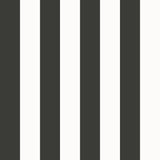 Galerie SS21233 Black Medium Stripe Black - Eade's Wallpaper
