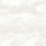 Galerie SS21249 Beige Cloud Pearl - Eade's Wallpaper