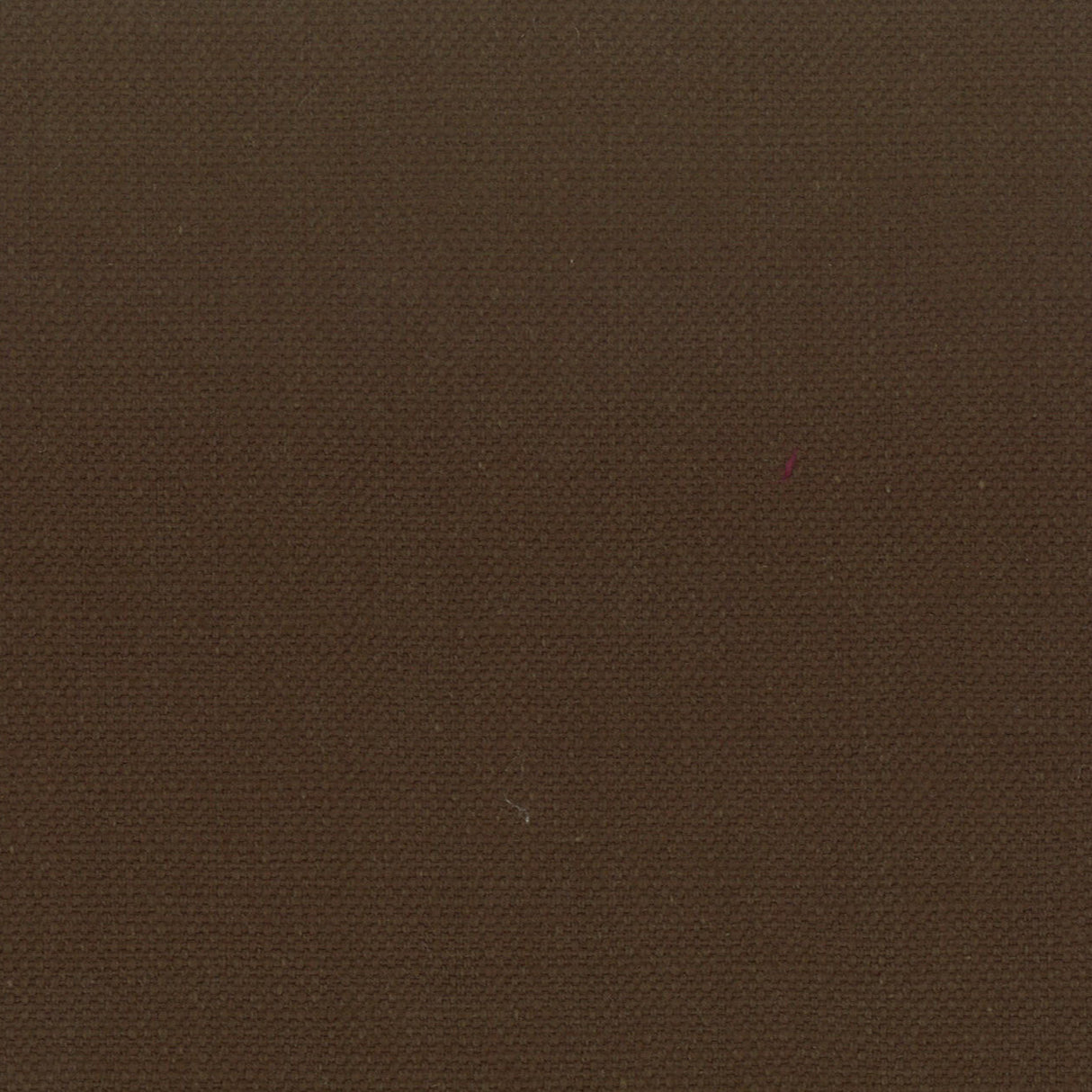 STOUT STAN-12 STANFORD 12 ROOTBEER Fabric - Eades Wallpaper & Fabric