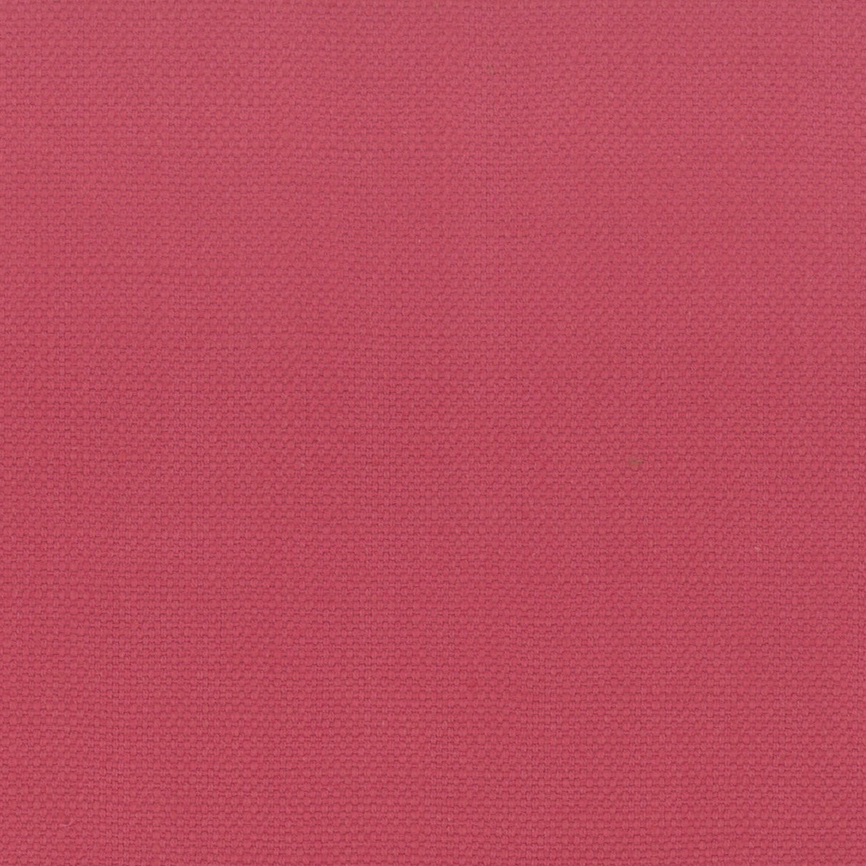 STOUT STAN-35 STANFORD 35 BLOSSOM Fabric - Eades Wallpaper & Fabric