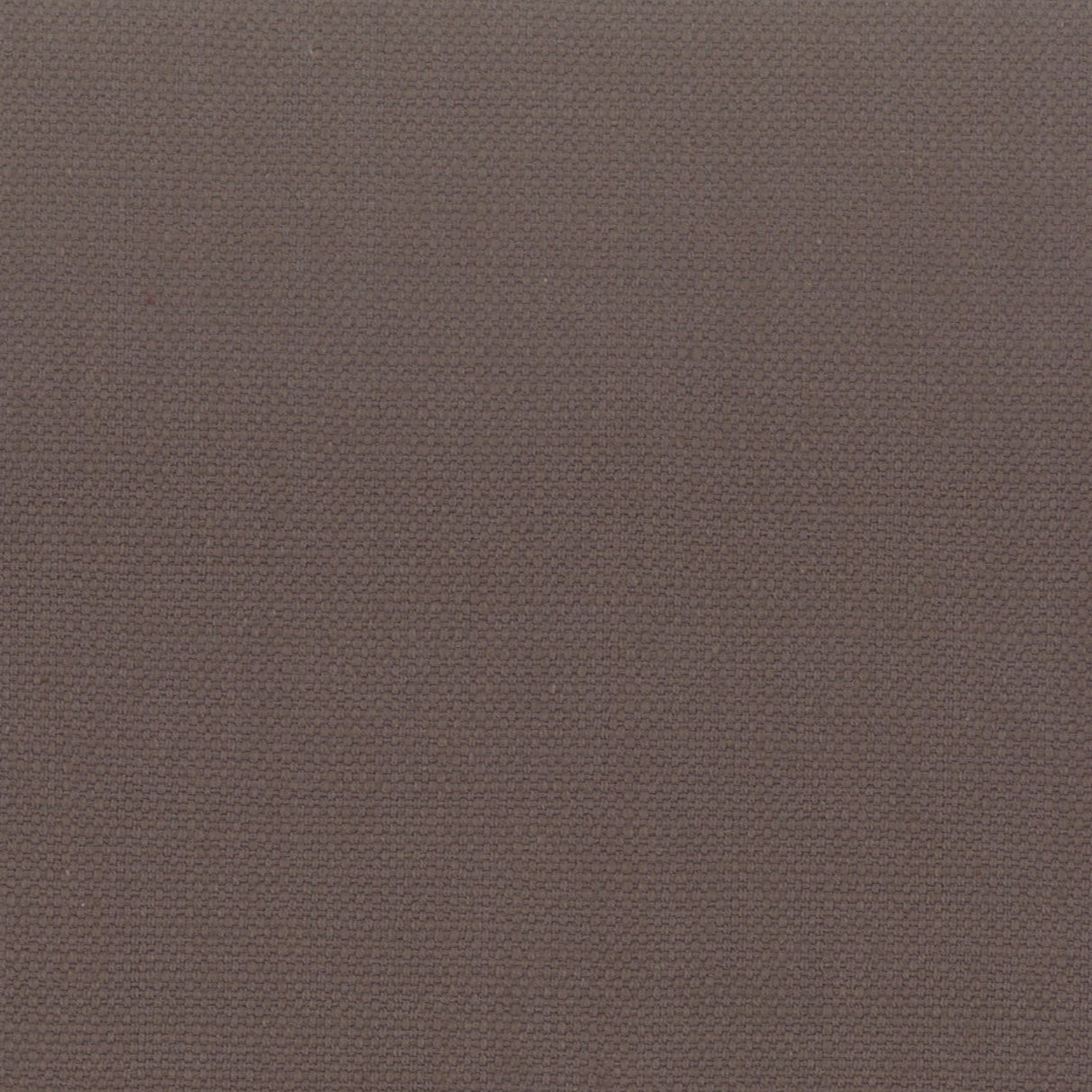 STOUT STAN-48 STANFORD 48 COCOA Fabric - Eades Wallpaper & Fabric