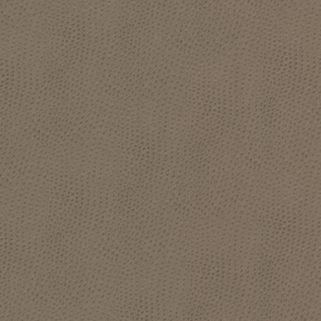 STOUT STEE-1 STEEPLECHASE 1 PUTTY Fabric - Eades Wallpaper & Fabric