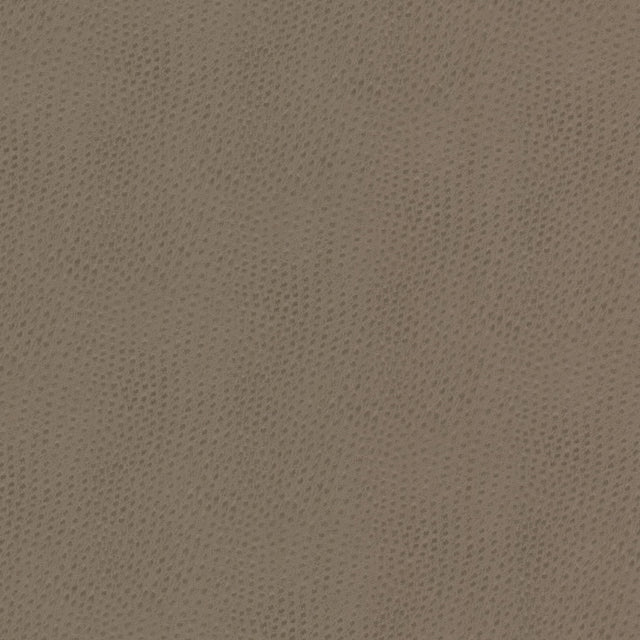 STOUT STEE-1 STEEPLECHASE 1 PUTTY Fabric - Eades Wallpaper & Fabric
