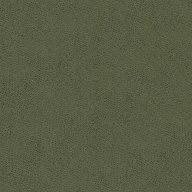 STOUT STEE-2 STEEPLECHASE 2 DILL Fabric - Eades Wallpaper & Fabric