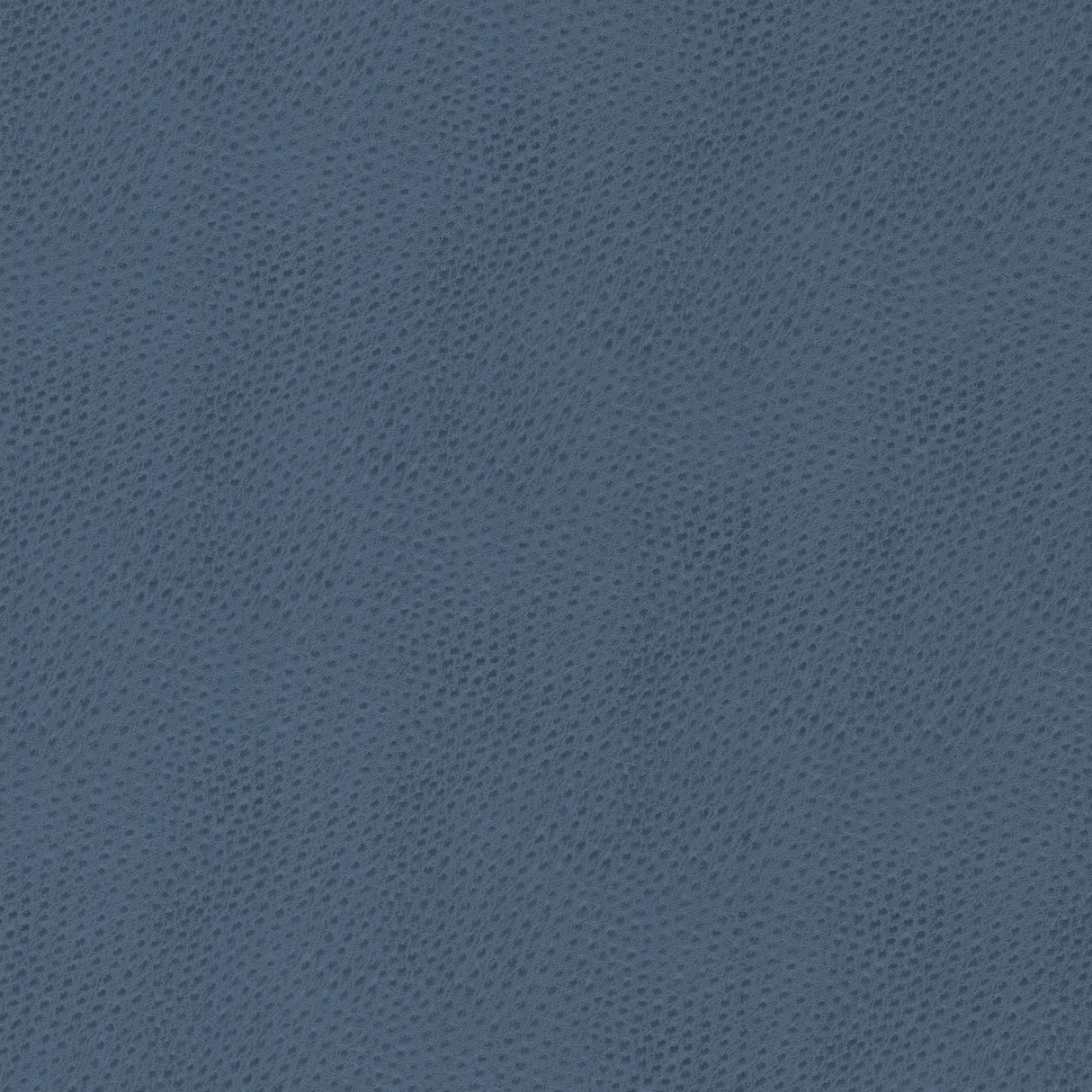 STOUT STEE-3 STEEPLECHASE 3 BLUEBIRD Fabric - Eades Wallpaper & Fabric