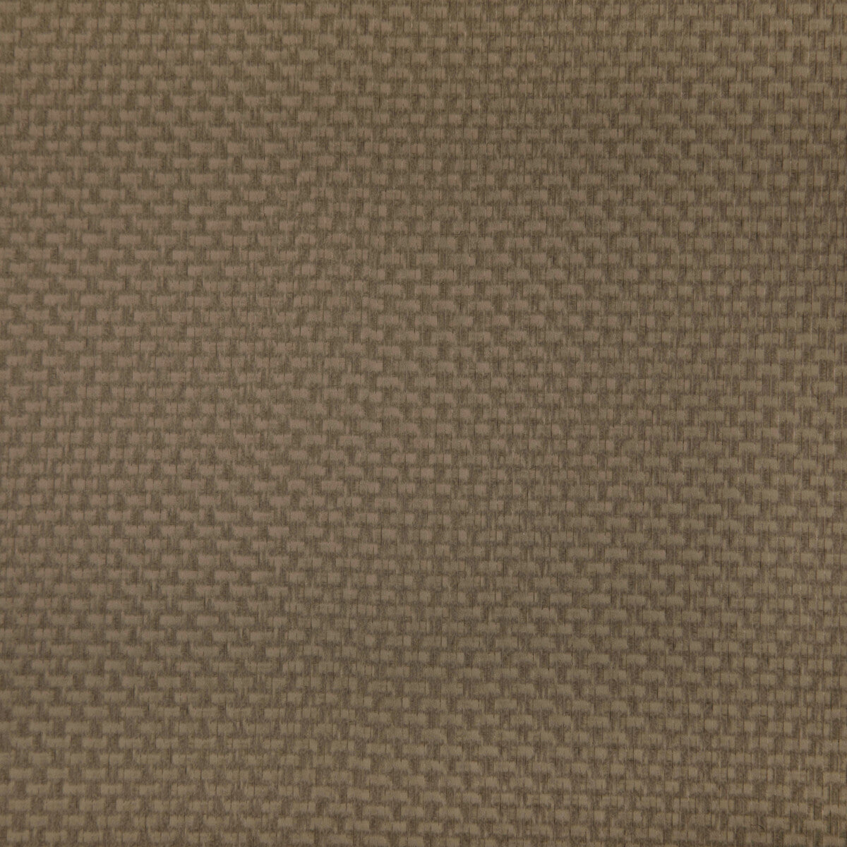 KRAVET CONTRACT STEIN.106.0 STEIN ETRUSCAN Fabric - Eade's Wallpaper