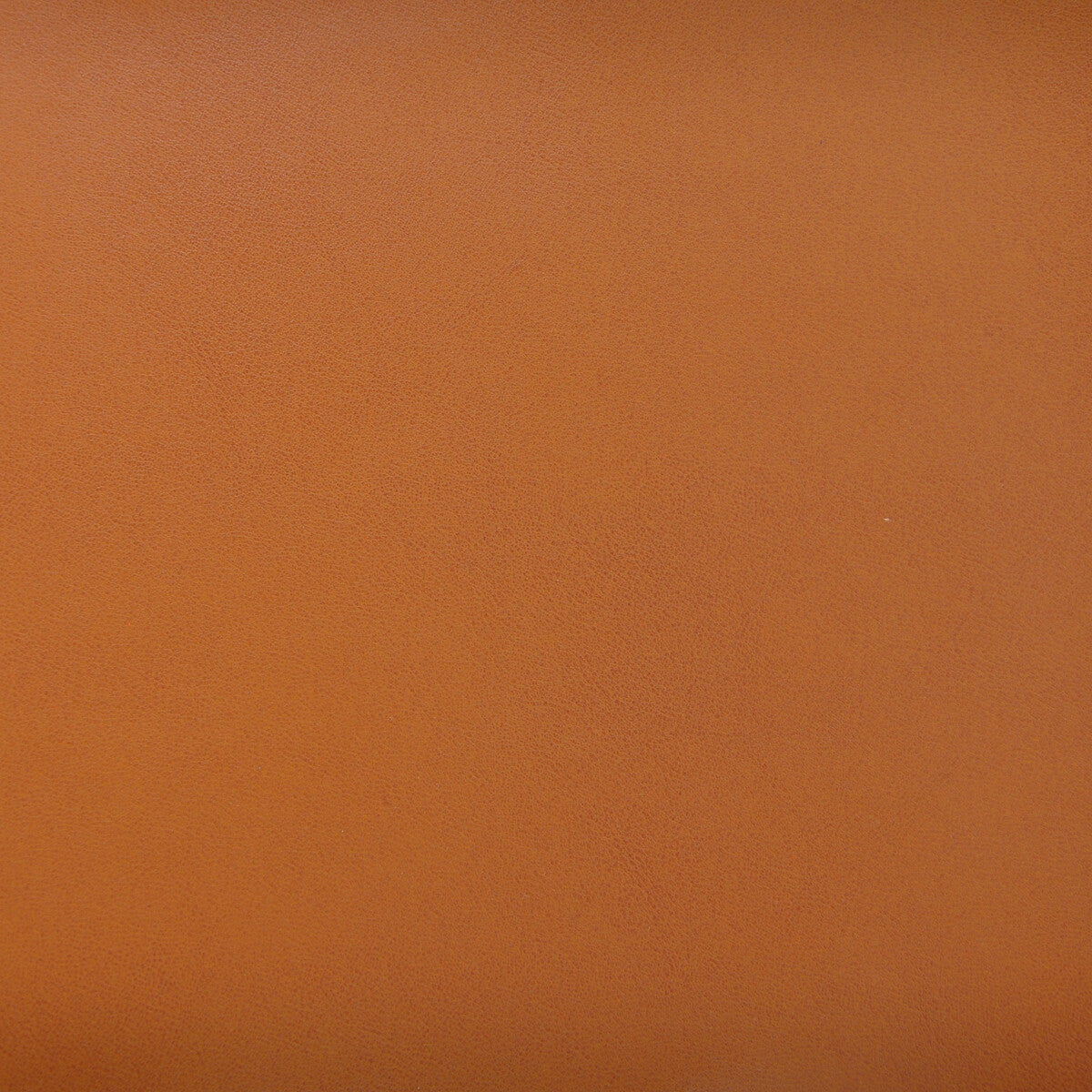 KRAVET DESIGN STEREO.6.0 KRAVET DESIGN STEREO-6 Fabric - Eade's Wallpaper