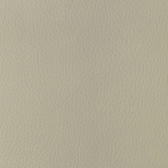 KRAVET DESIGN SUGARMAPLE.1.0 KRAVET DESIGN SUGARMAPLE-1 Fabric - Eade's Wallpaper