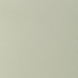 KRAVET DESIGN SUGARMAPLE.101.0 KRAVET DESIGN SUGARMAPLE-101 Fabric - Eade's Wallpaper