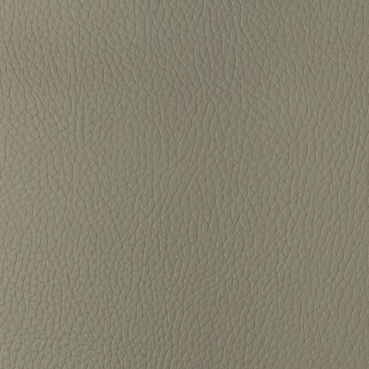 KRAVET DESIGN SUGARMAPLE.116.0 KRAVET DESIGN SUGARMAPLE-116 Fabric - Eade's Wallpaper