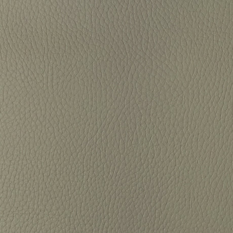 KRAVET DESIGN SUGARMAPLE.116.0 KRAVET DESIGN SUGARMAPLE-116 Fabric - Eade's Wallpaper