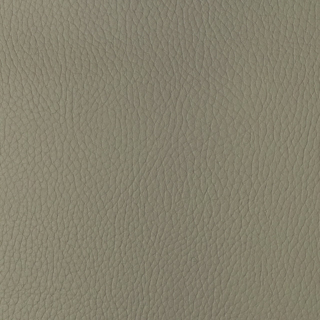 KRAVET DESIGN SUGARMAPLE.116.0 KRAVET DESIGN SUGARMAPLE-116 Fabric - Eade's Wallpaper