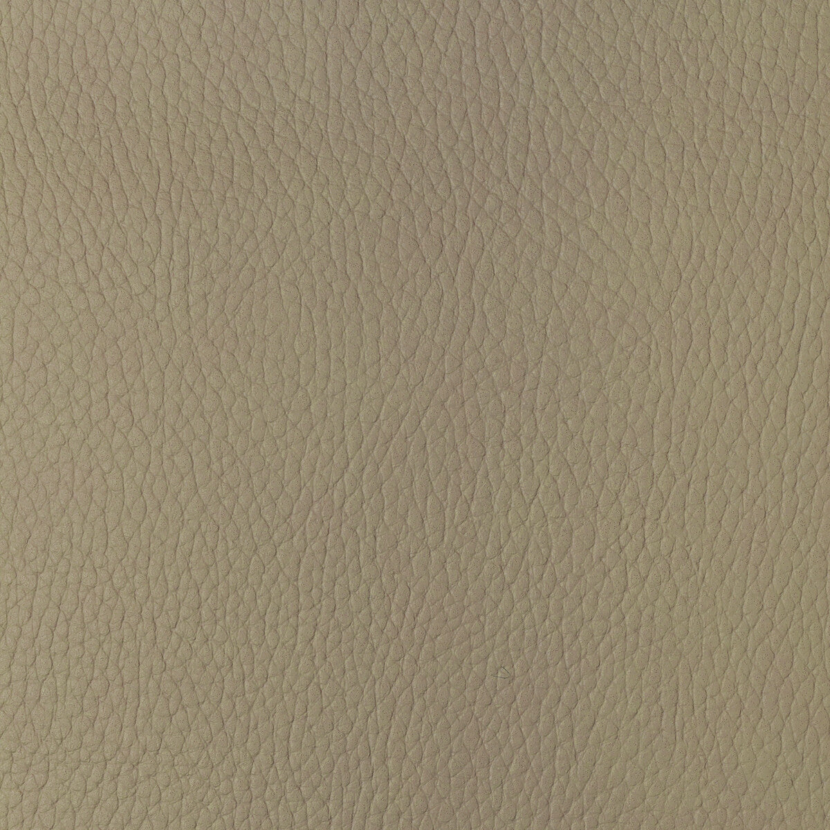 KRAVET DESIGN SUGARMAPLE.16.0 KRAVET DESIGN SUGARMAPLE-16 Fabric - Eade's Wallpaper