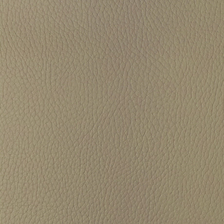 KRAVET DESIGN SUGARMAPLE.16.0 KRAVET DESIGN SUGARMAPLE-16 Fabric - Eade's Wallpaper