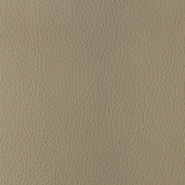 KRAVET DESIGN SUGARMAPLE.16.0 KRAVET DESIGN SUGARMAPLE-16 Fabric - Eade's Wallpaper