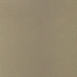 KRAVET DESIGN SUGARMAPLE.16.0 KRAVET DESIGN SUGARMAPLE-16 Fabric - Eade's Wallpaper