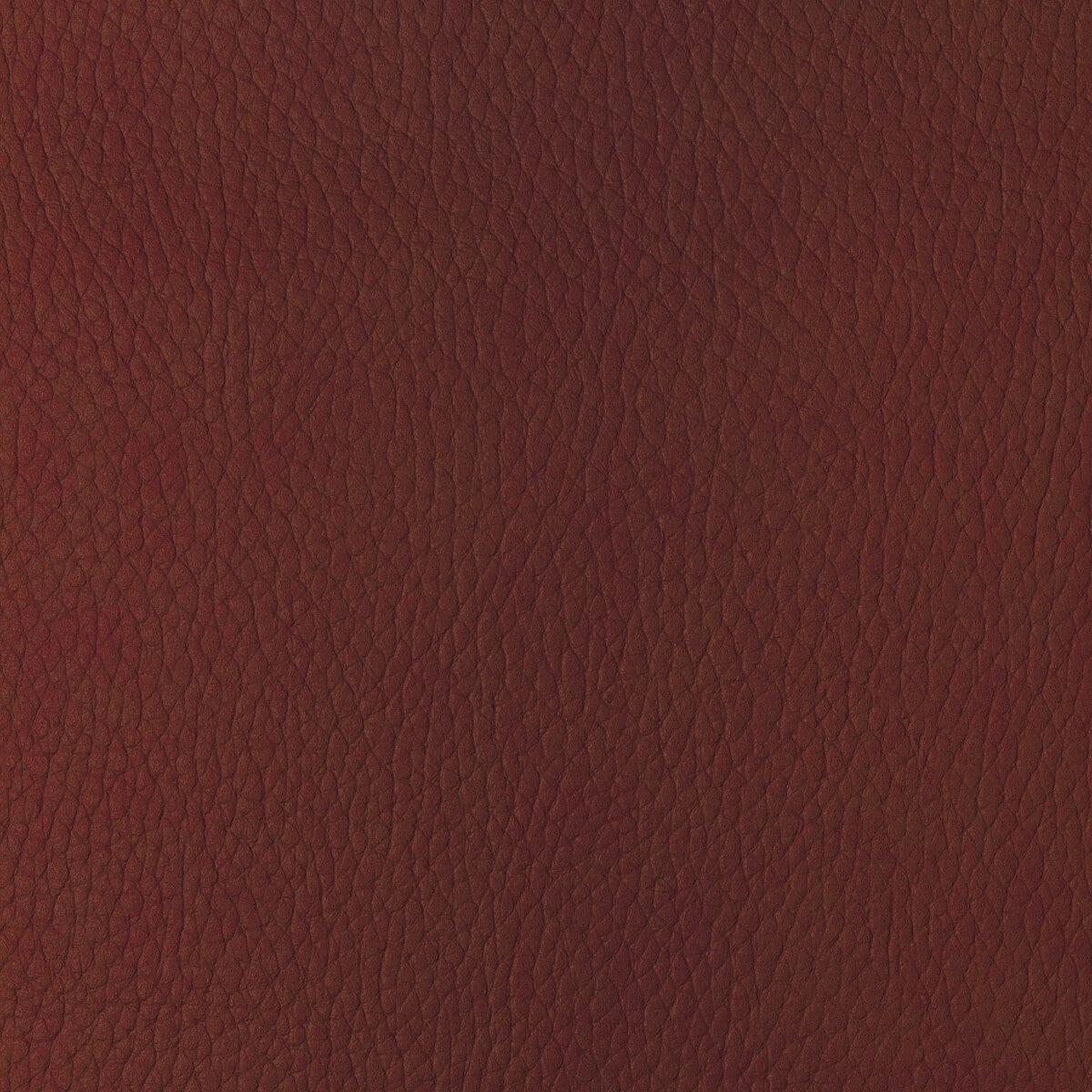 KRAVET DESIGN SUGARMAPLE.19.0 KRAVET DESIGN SUGARMAPLE-19 Fabric - Eade's Wallpaper