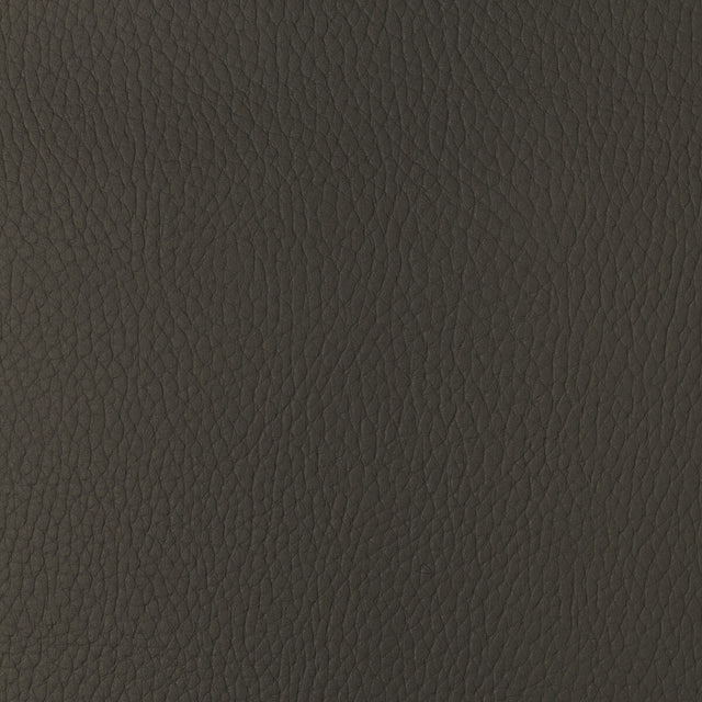 KRAVET DESIGN SUGARMAPLE.6.0 KRAVET DESIGN SUGARMAPLE-6 Fabric - Eade's Wallpaper