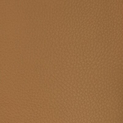 KRAVET DESIGN KRAVET DESIGN SUGARMAPLE.64.0 in SUGARMAPLE-64