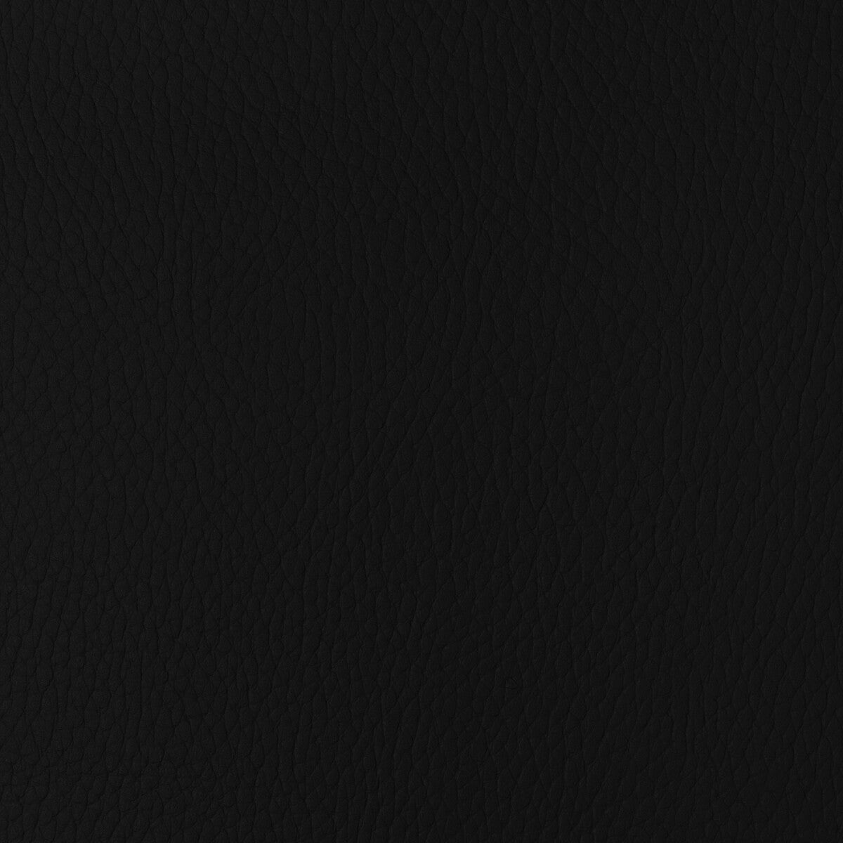 KRAVET DESIGN SUGARMAPLE.8.0 KRAVET DESIGN SUGARMAPLE-8 Fabric - Eade's Wallpaper