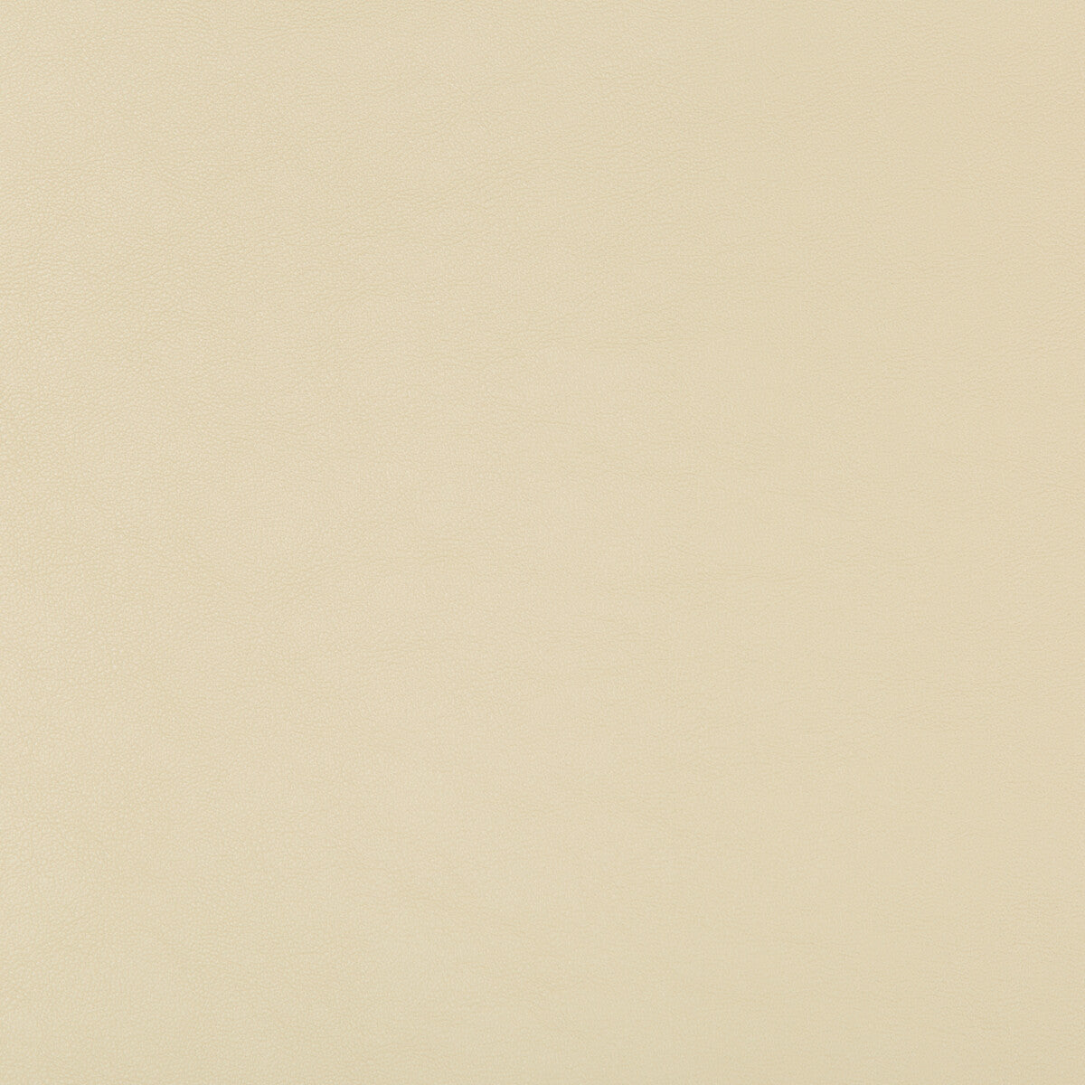 KRAVET DESIGN SWAPS.116.0 KRAVET DESIGN SWAPS-116 Fabric - Eade's Wallpaper