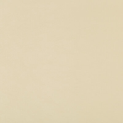 KRAVET DESIGN SWAPS.116.0 KRAVET DESIGN SWAPS-116 Fabric - Eade's Wallpaper